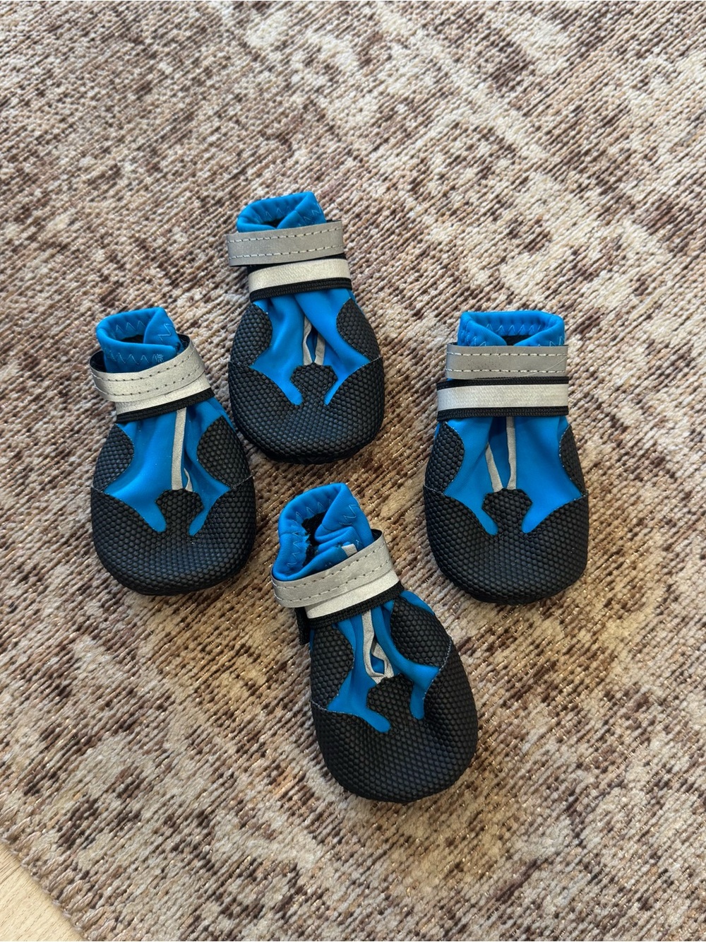 Blue and black dog boots shoes